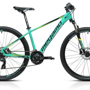 MEGAMO NATURAL 60 LTD 2021