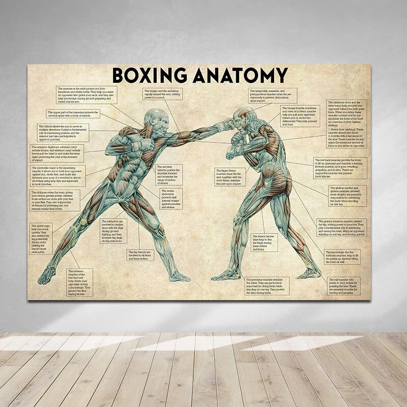 Tableau Boxing Anatomy – Image 2