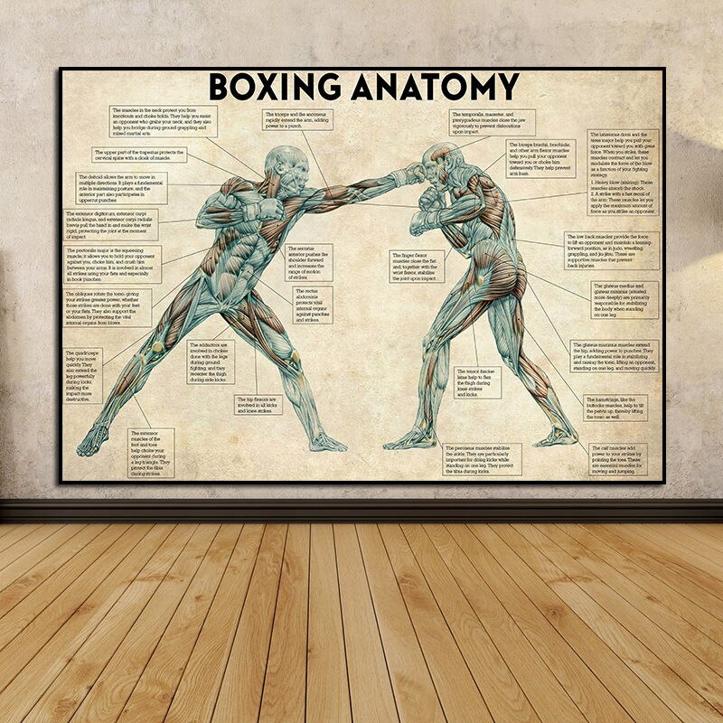 Tableau Boxing Anatomy – Image 5