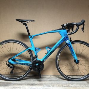 Sunn Special S2 L ( occasion )