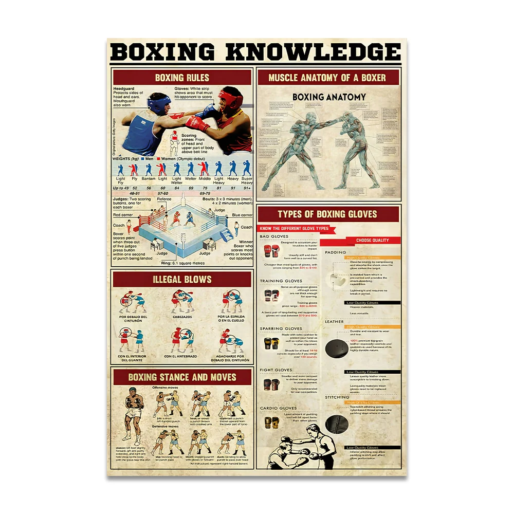 Tableau Boxing Knowledge – Image 7