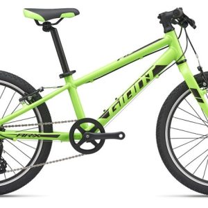 GIANT ARX 20 2020