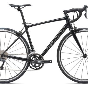 GIANT CONTEND 3 2020