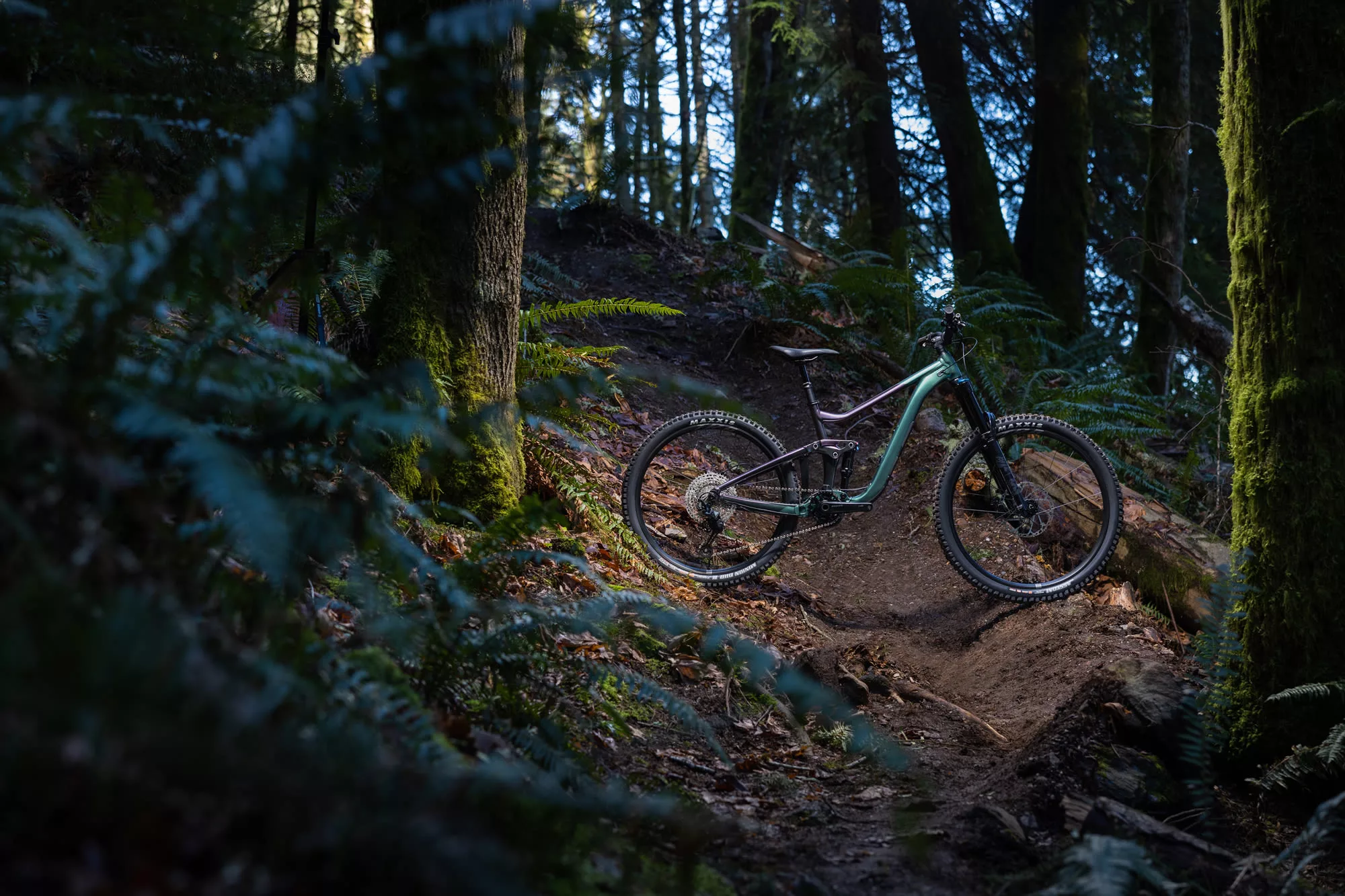 Giant Reign 2 2025 – Image 3