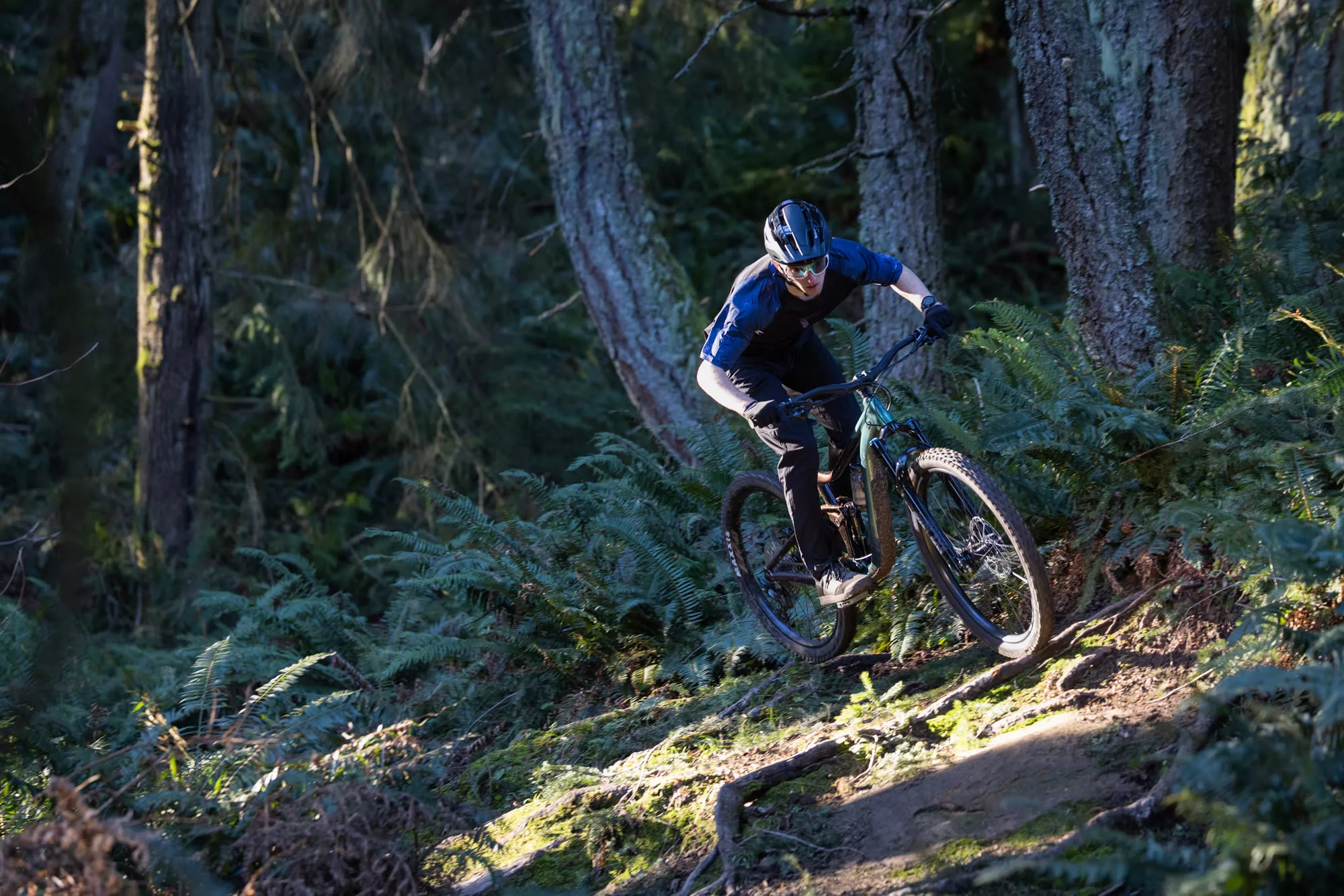 Giant Reign 2 2025 – Image 7