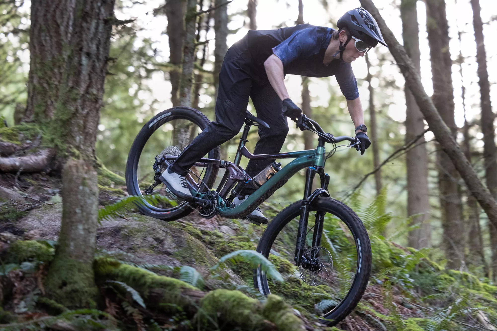 Giant Reign 2 2025 – Image 9