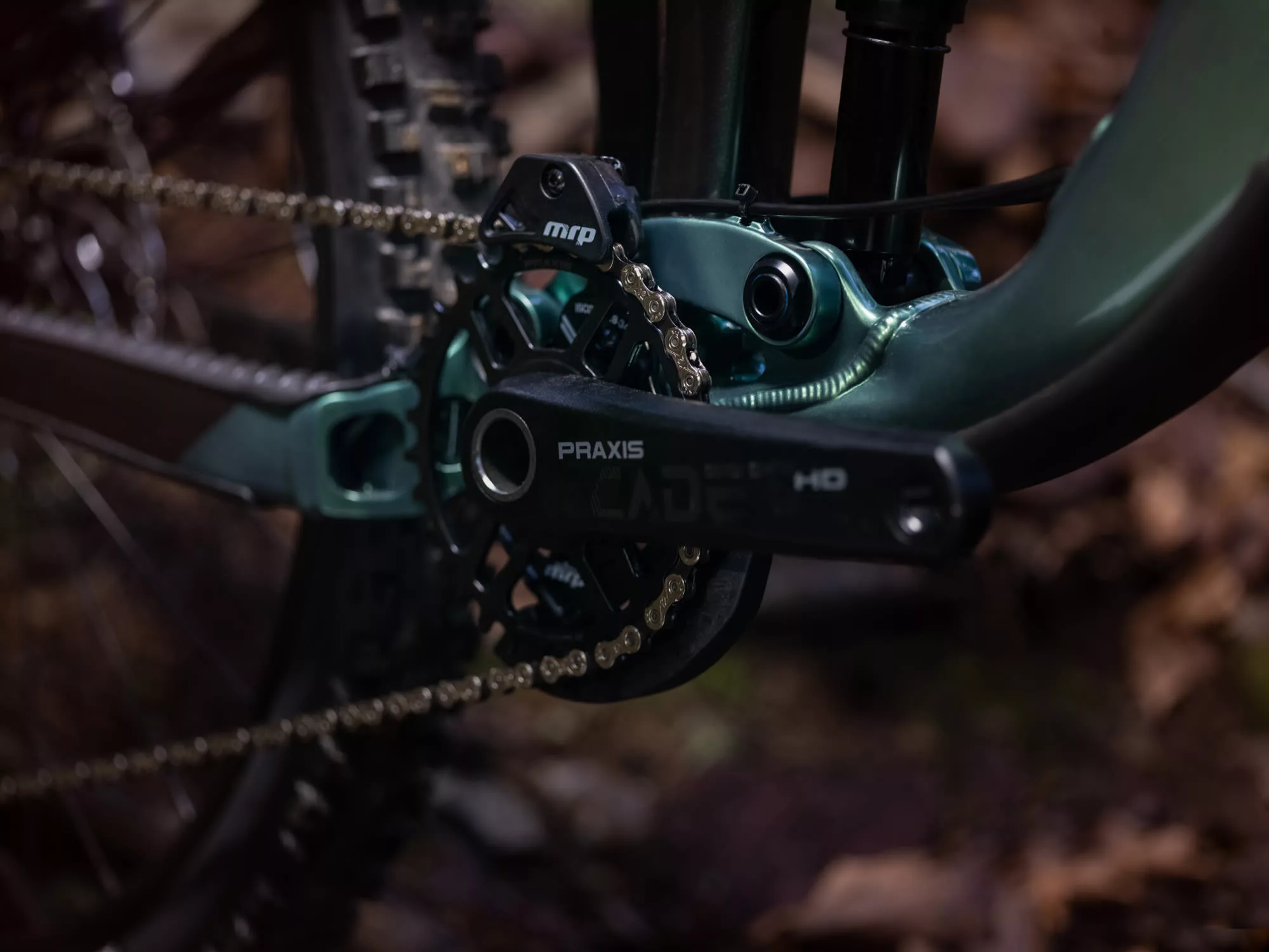 Giant Reign 2 2025 – Image 6