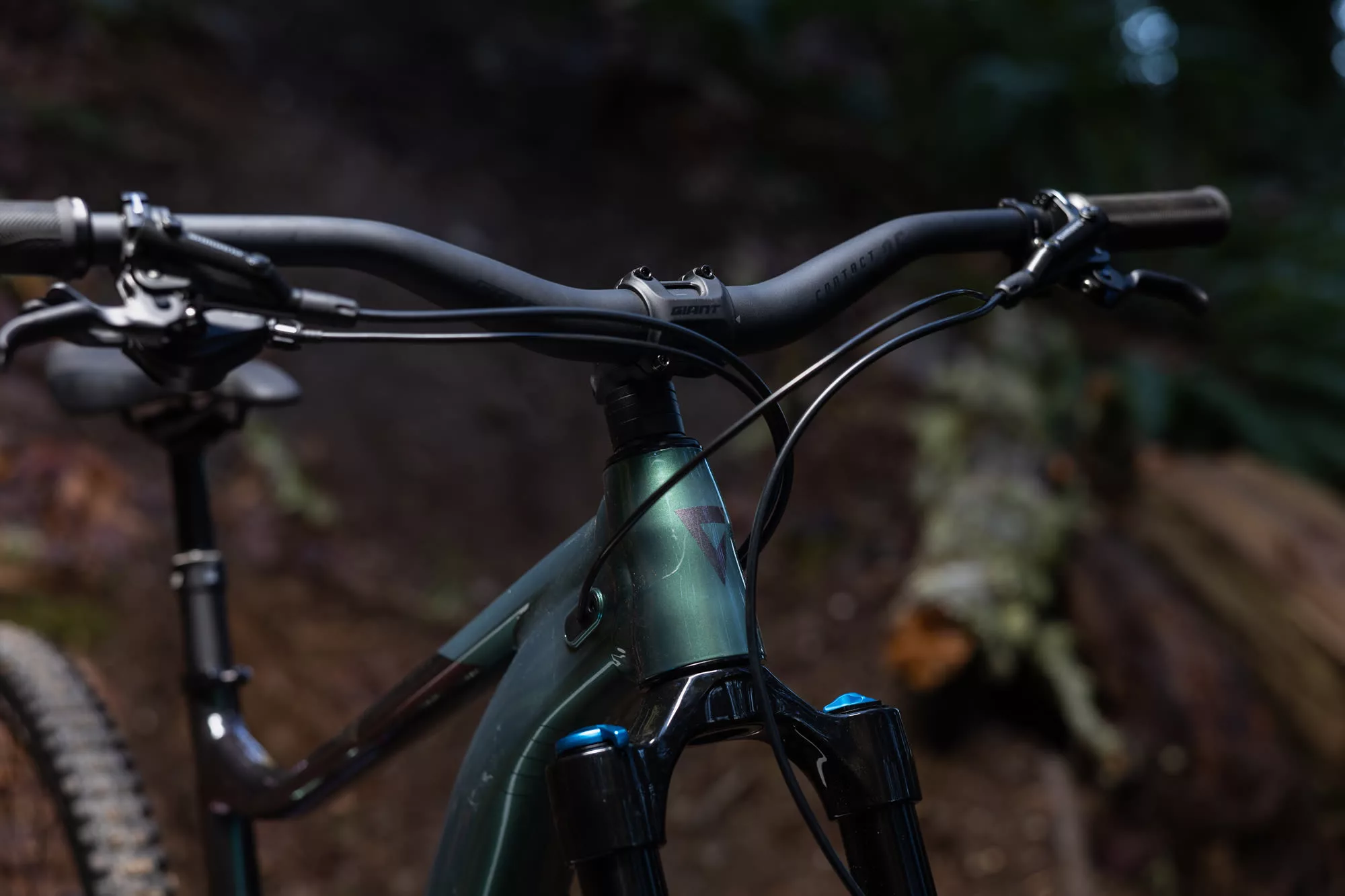 Giant Reign 2 2025 – Image 5