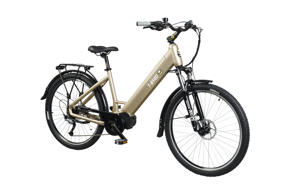 T-BIRD GOLDEN GATE 2021 – Image 3